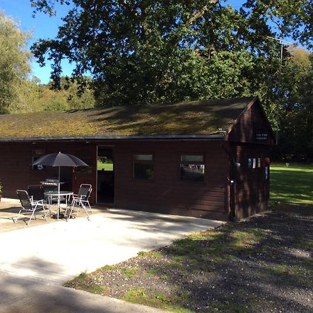 The Firs Villa Ashford  Exteriör bild